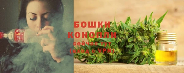 шишки Кукмор