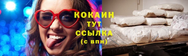 шишки Кукмор