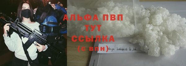 шишки Кукмор