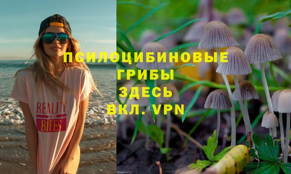шишки Кукмор
